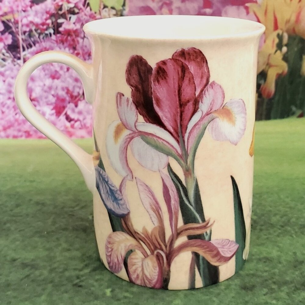 NEW Stechcol Gracie Bone China Multicolor Iris 8oz Cup / Mug